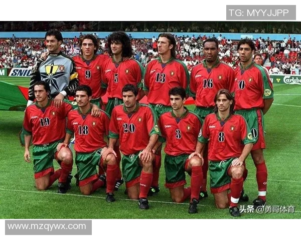 葡萄牙世界杯足球明星：从鲁伊科斯塔到C罗的传奇之路